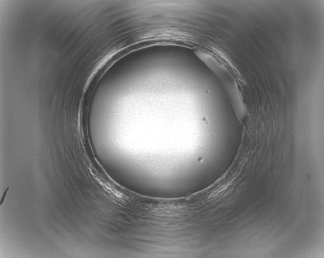 X0000056030788200509092204