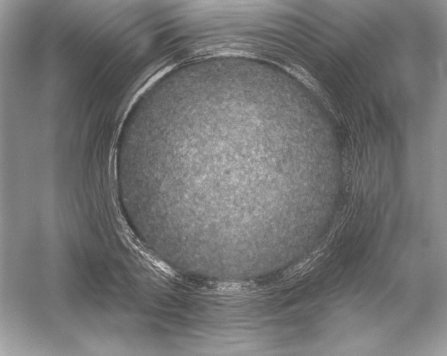 X0000056030790200509092204