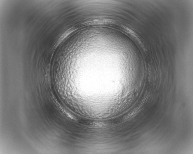 X0000056030794200509092204