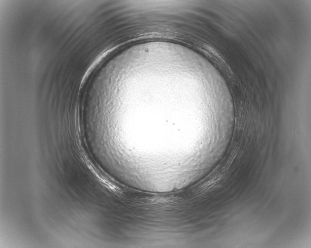 X0000056030796200509092204