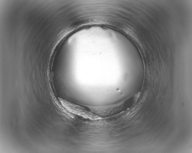 X0000056030797200509092204