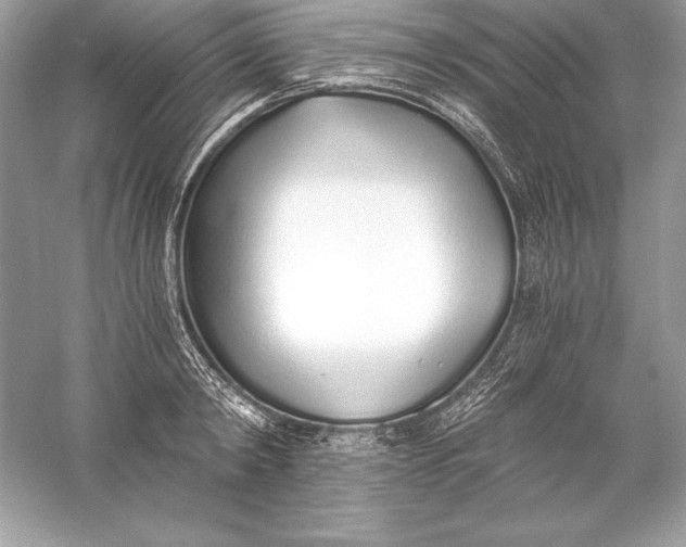 X0000056030798200509092204