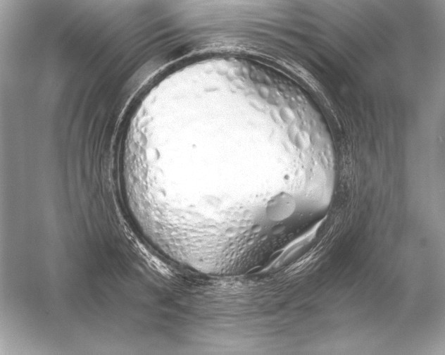 X0000056030799200509092204