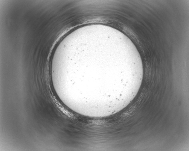 X0000056030800200509092204