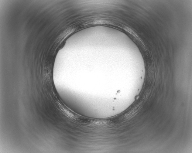 X0000056030801200509092204