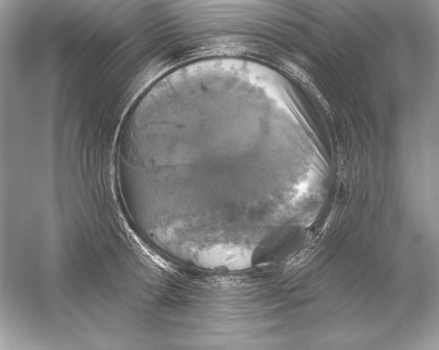 X0000056030802200509092203