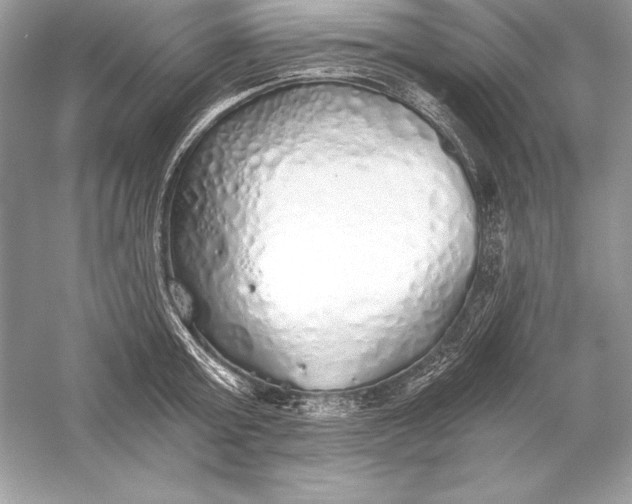 X0000056030803200509092203