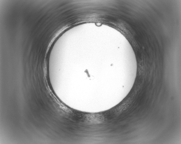 X0000056030804200509092203