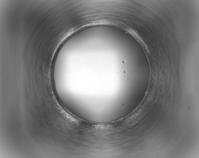 X0000056030805200509092203