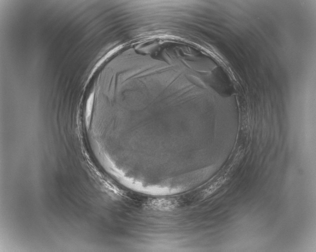 X0000056030806200509092203