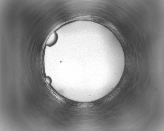 X0000056030808200509092203