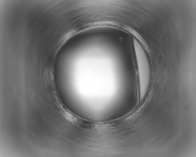 X0000056030809200509092203