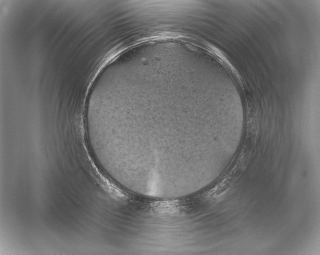 X0000056030810200509092203