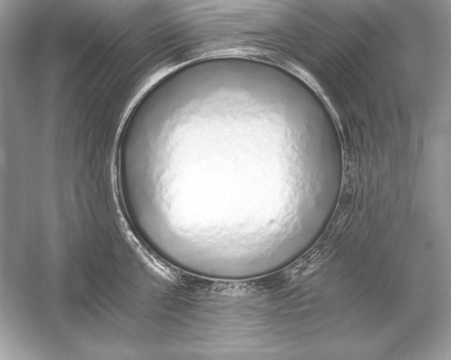 X0000056030811200509092203