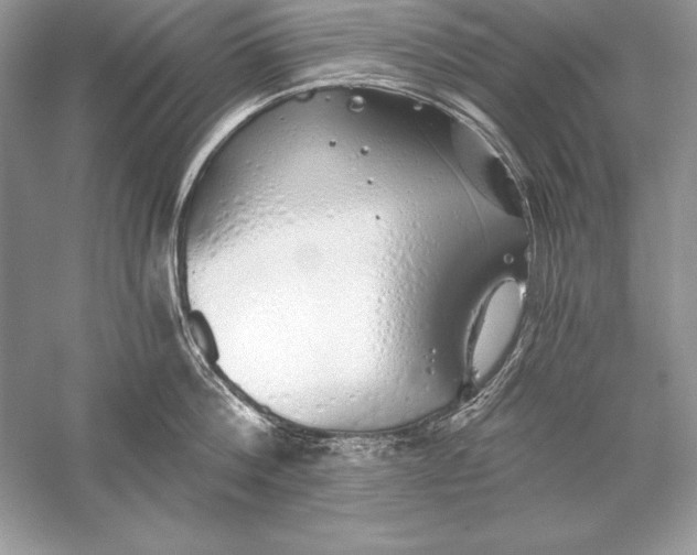 X0000056030812200509092203