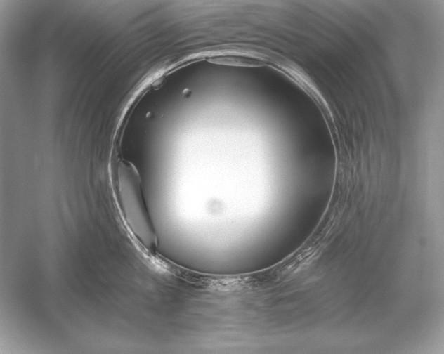 X0000056030813200509092203