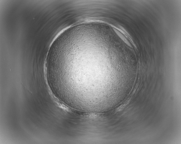 X0000056030814200509092203