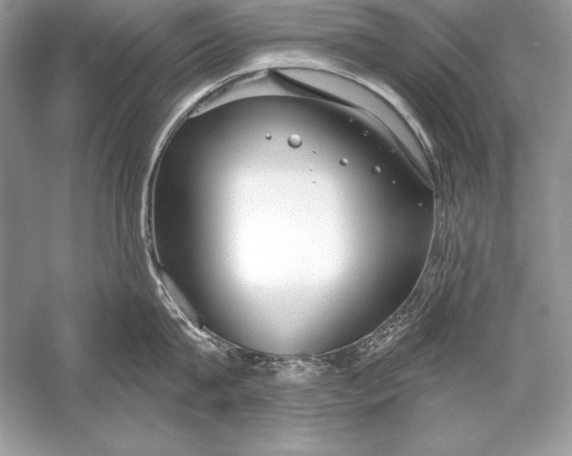 X0000056030815200509092203