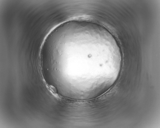 X0000056030816200509092203