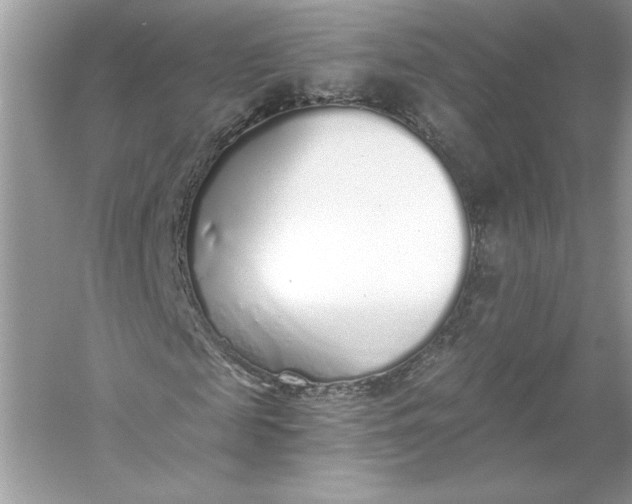 X0000056030817200509092202