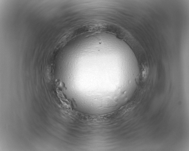 X0000056030819200509092202