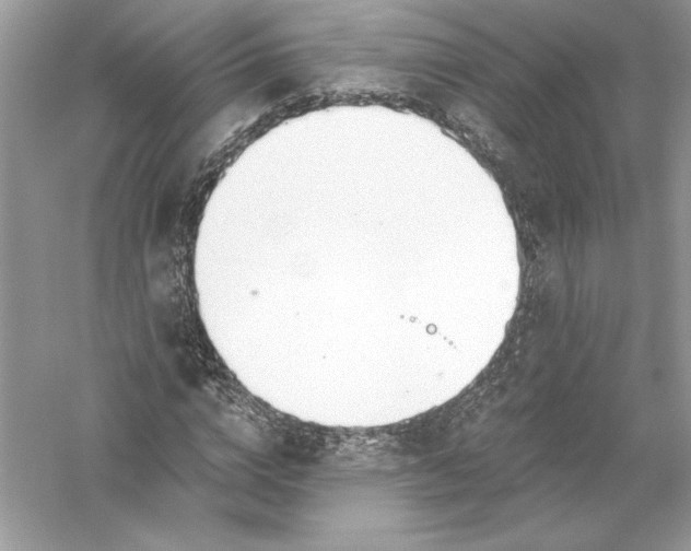 X0000056030824200509092203