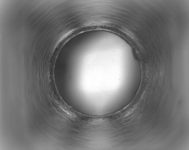 X0000056030826200509092203