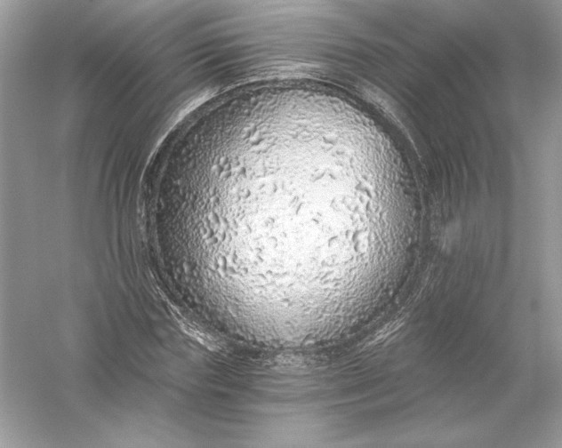 X0000056030827200509092203