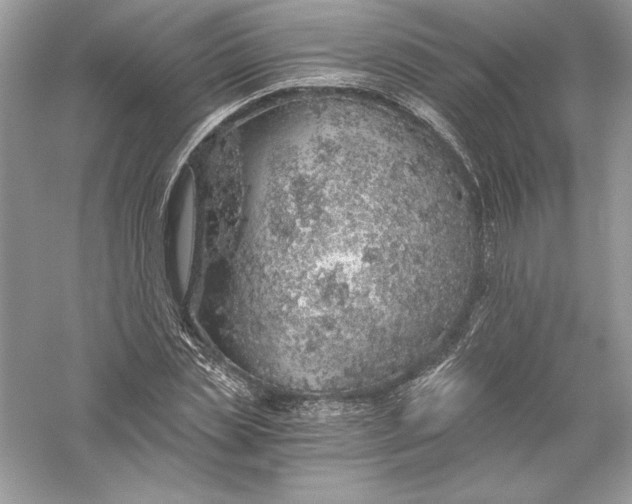 X0000056030829200509092203