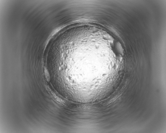 X0000056030831200509092203