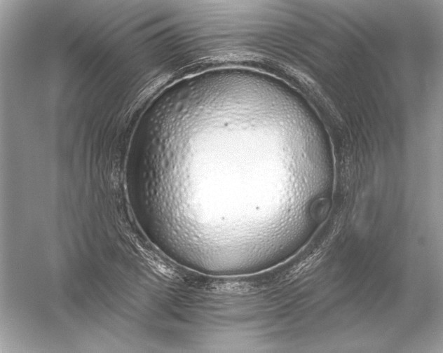 X0000056030833200509092203