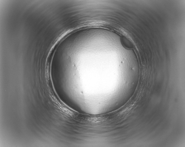 X0000056030835200509092203