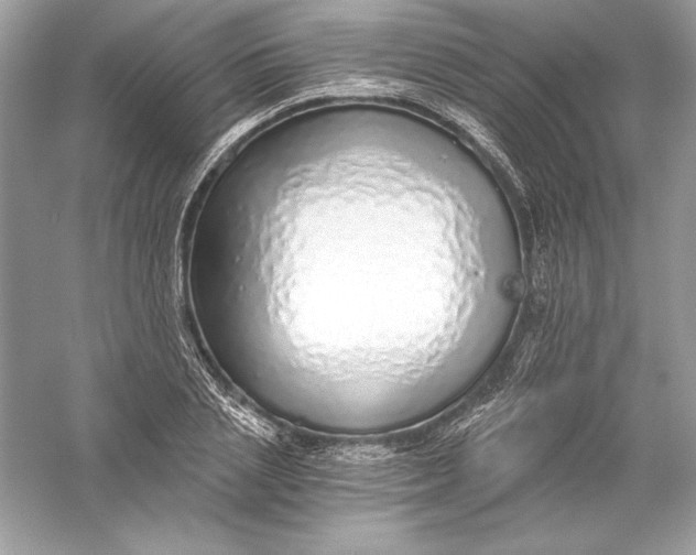 X0000056030837200509092203