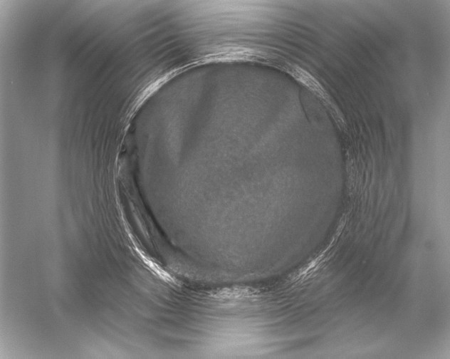 X0000056030842200509092203