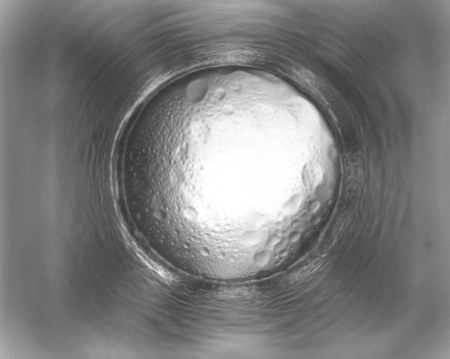 X0000056030843200509092203