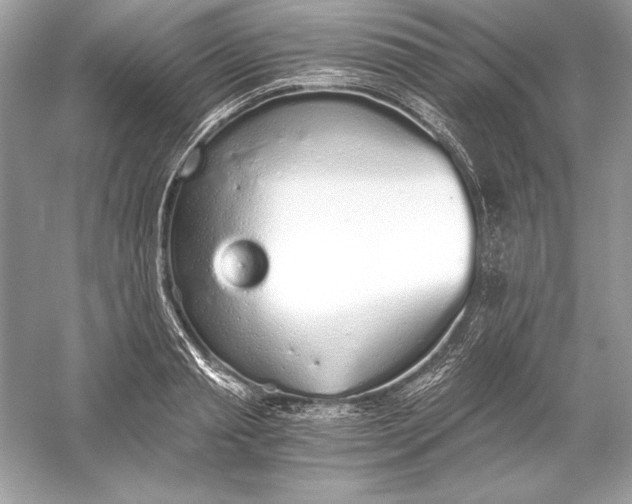 X0000056030845200509092203