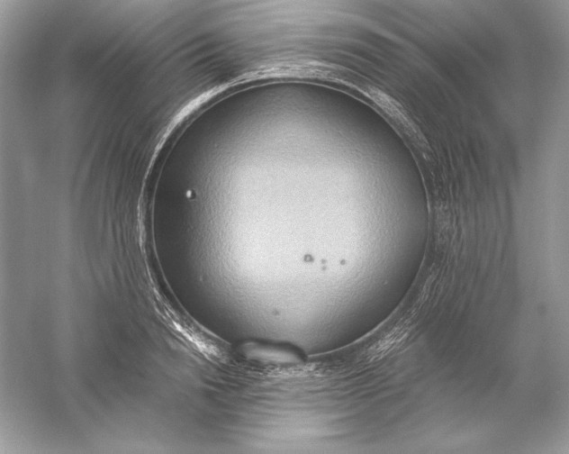 X0000056030846200509092203