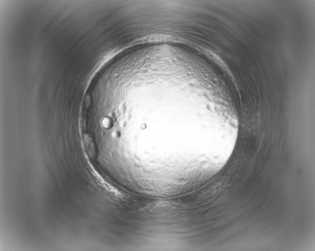 X0000056030847200509092203