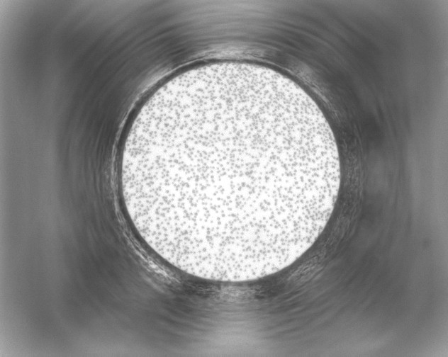 X0000056030848200509092203