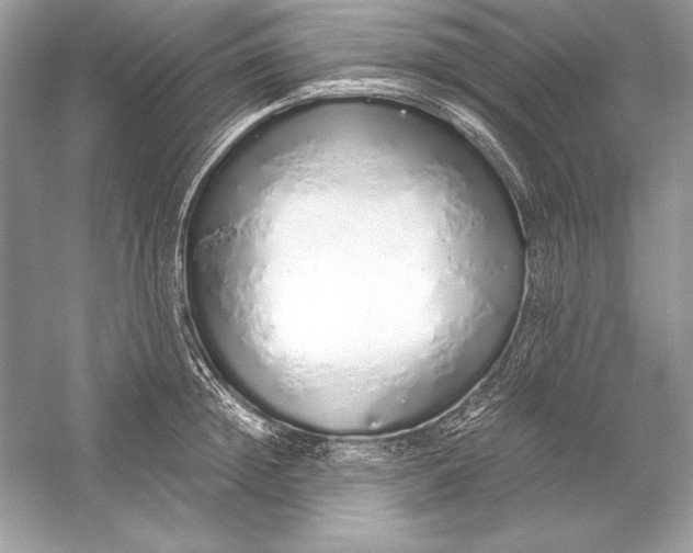 X0000056030852200509092203