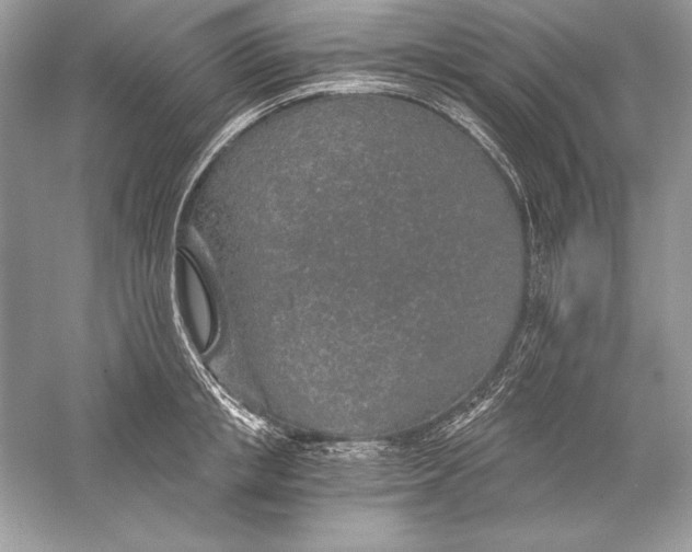 X0000056030853200509092203