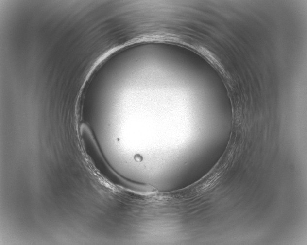 X0000056030854200509092203