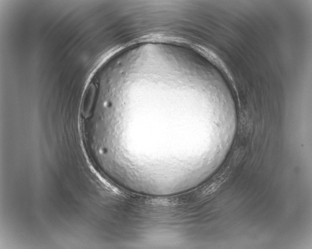 X0000056030855200509092203