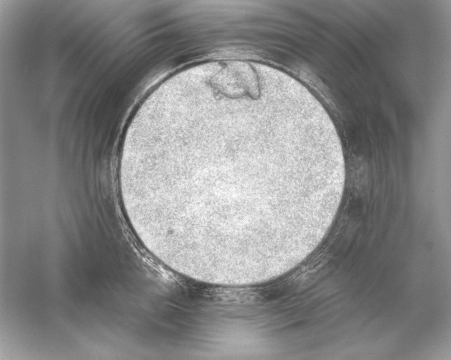 X0000056030856200509092203