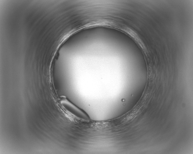 X0000056030858200509092203