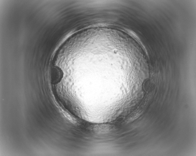 X0000056030859200509092203