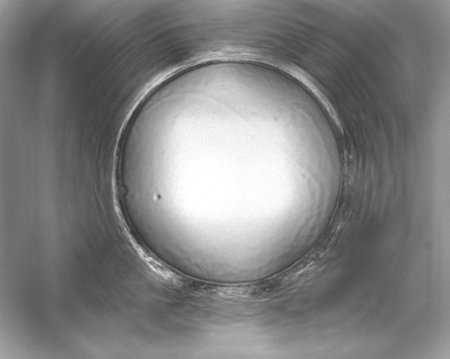 X0000056030861200509092203