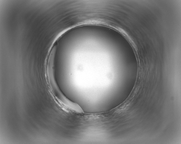 X0000056030862200509092203