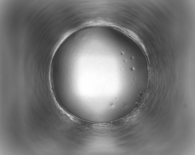 X0000056030863200509092203