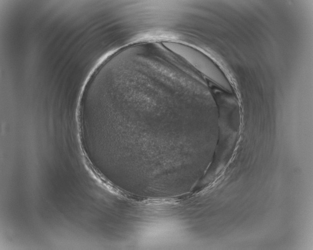 X0000056030864200509092203